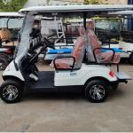 Xe golf điện 6 chỗ LVTONG LT-A627.6