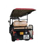 Xe golf điện 6 chỗ LVTONG LT-A627.6