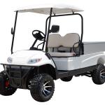 Xe golf điện 6 chỗ LVTONG LT-A627.6
