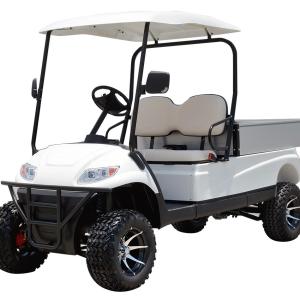 Xe golf điện 6 chỗ LVTONG LT-A627.6