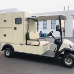 Xe golf điện 6 chỗ LVTONG LT-A627.6